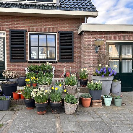 Flowerbed Voorhout Exterior photo